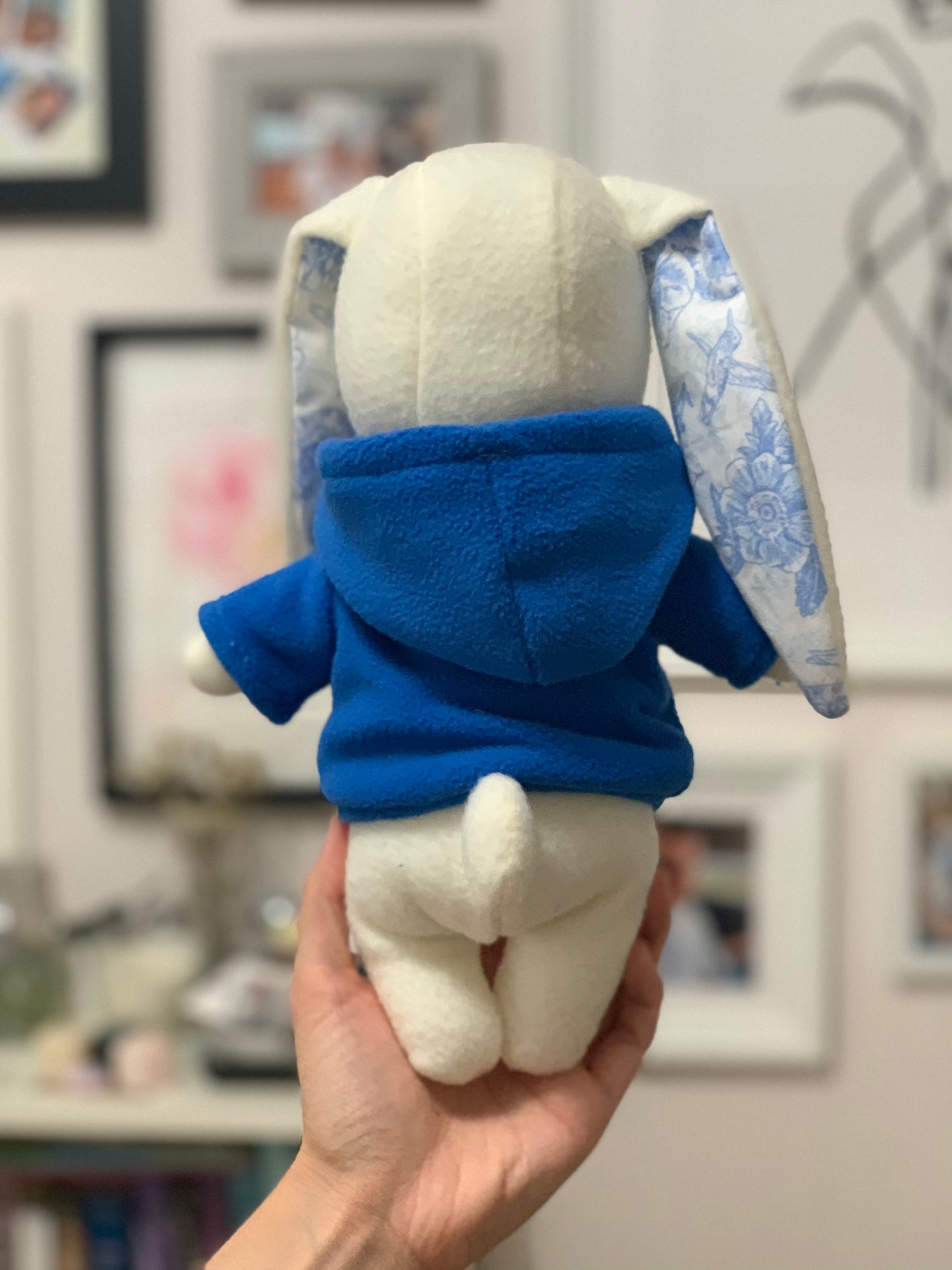 Plushie Hoodie - Blue