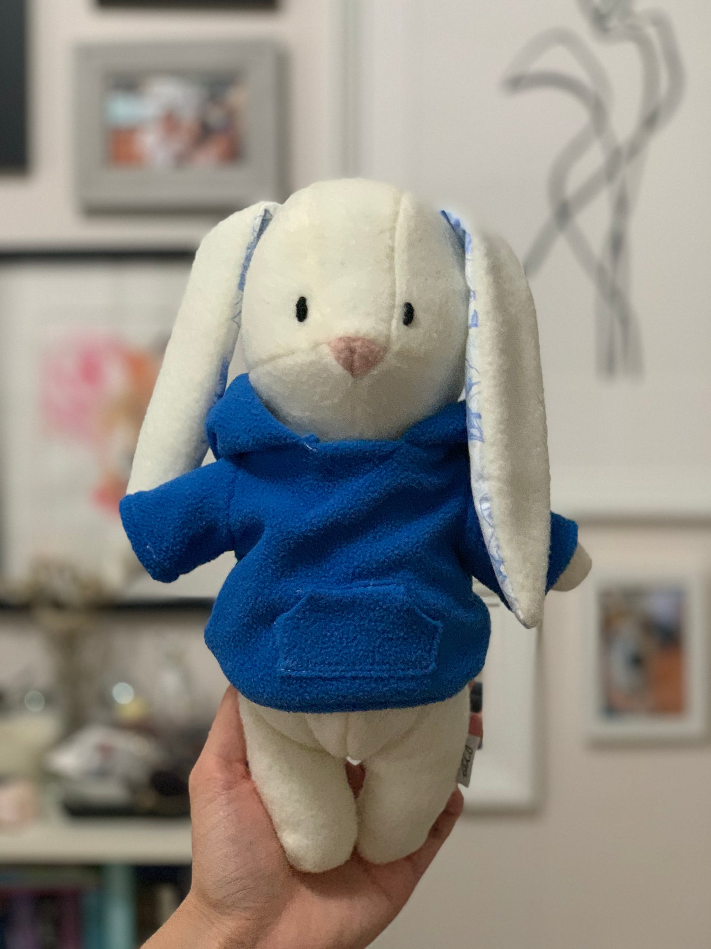 Plushie Hoodie - Blue