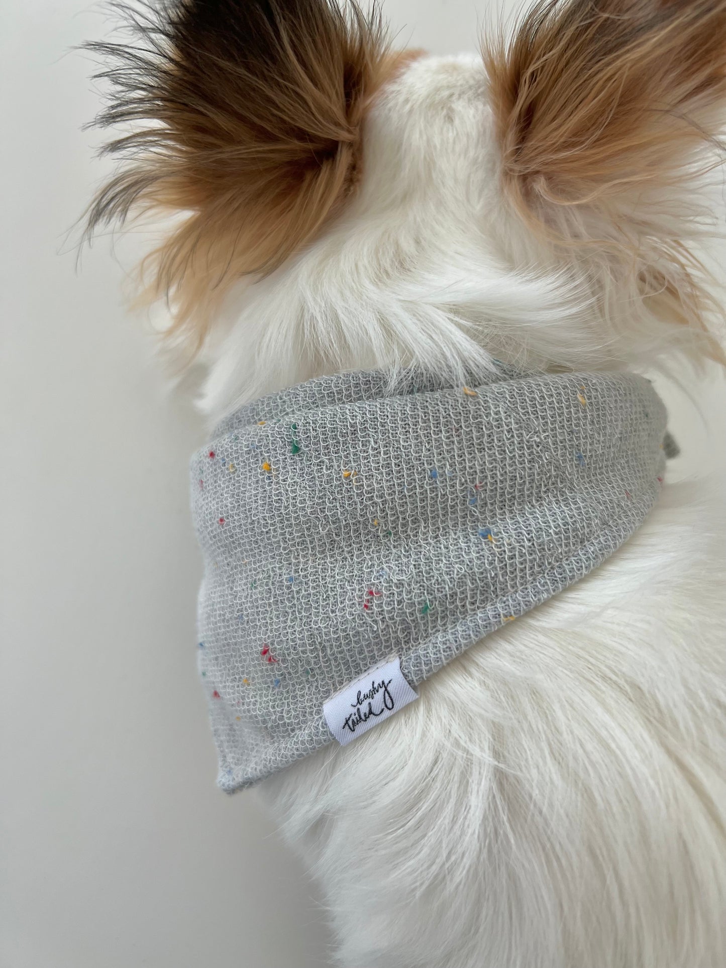 CONFETTI Pet Bandana