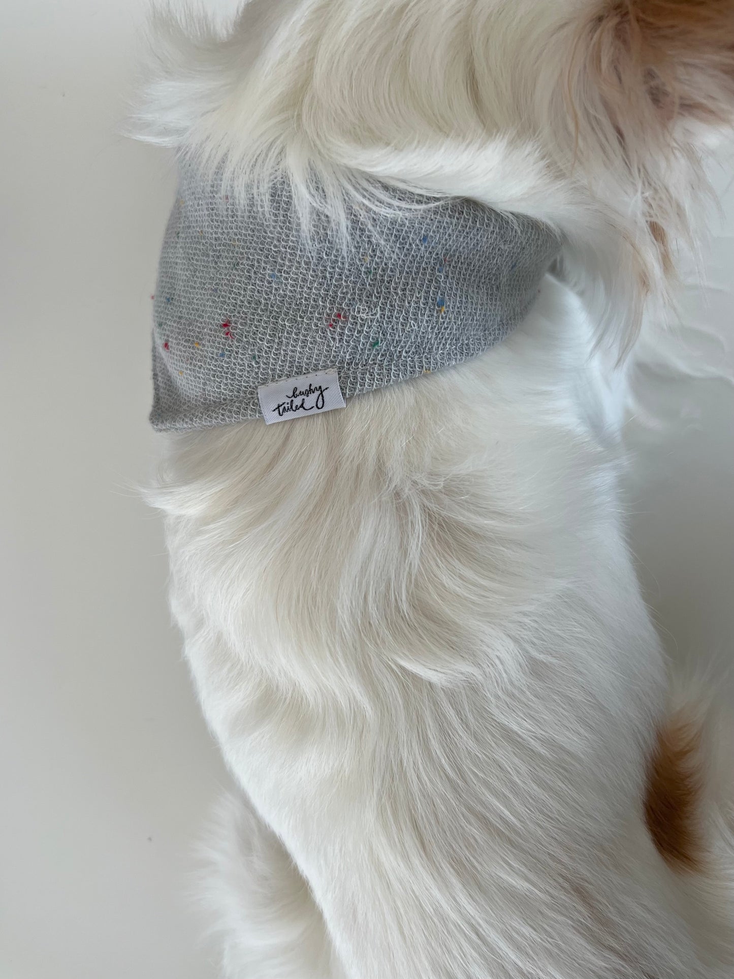 CONFETTI Pet Bandana