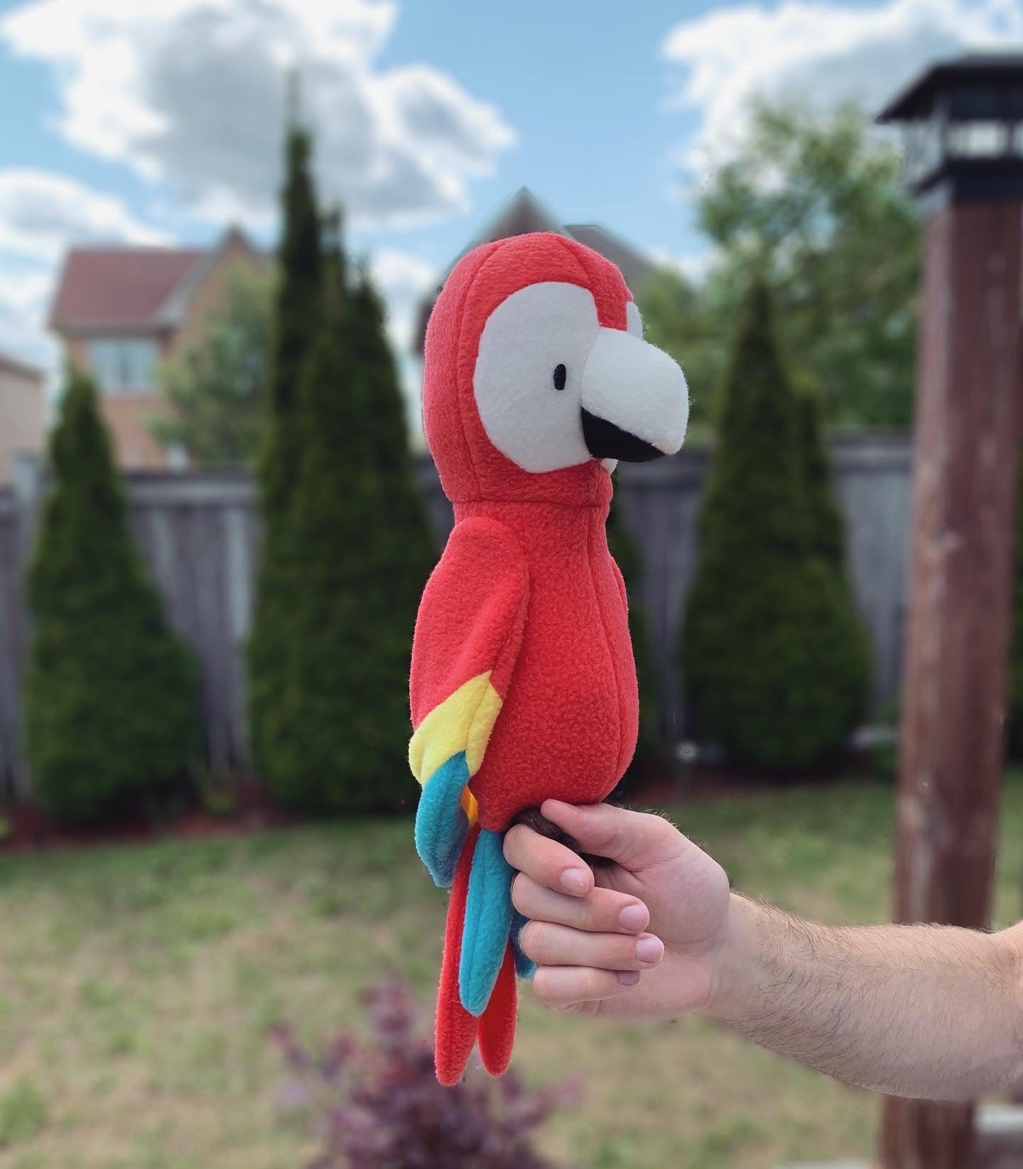 Pierre the Parrot